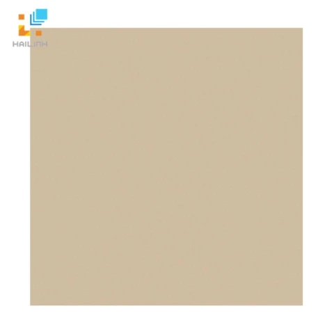 Ảnh Gạch Viglacera TS5 802 1