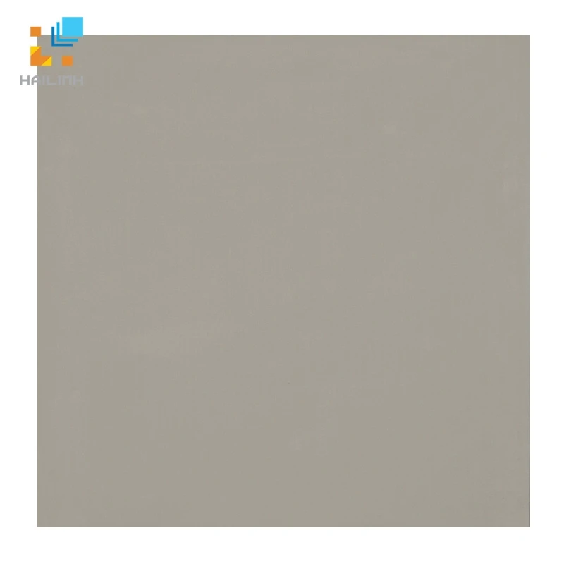 Gạch lát nền Viglacera TS6 603