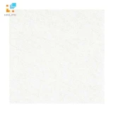 Gạch lát nền Viglacera ECO M601 1