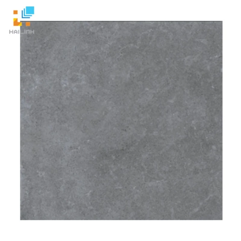 Gạch Viglacera Platinum PT20-G6605