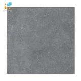 Gạch Viglacera Platinum PT20-G6605 1