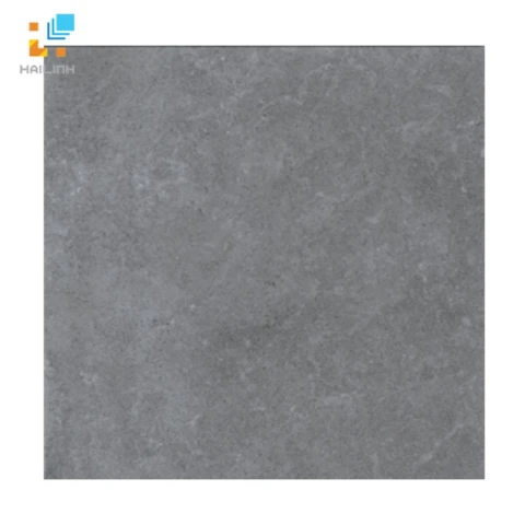 Gạch Viglacera Platinum PT20-G6605