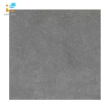 Gạch Viglacera Platinum PT20-G6603 1