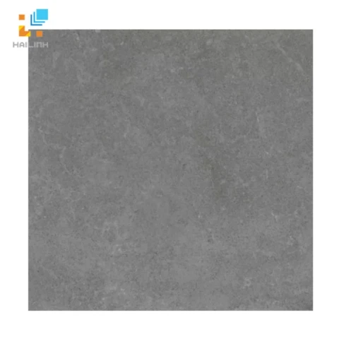 Gạch Viglacera Platinum PT20-G6603