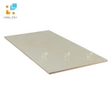 Gạch ốp tường Viglacera UB3901 2