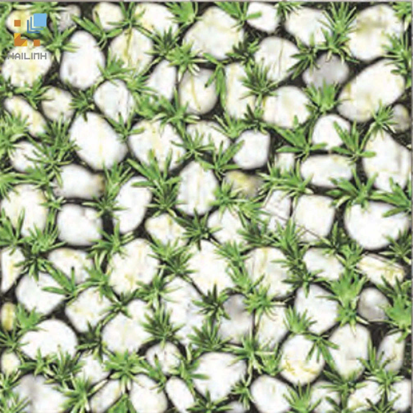 gach Dong Tam 4040CLG003