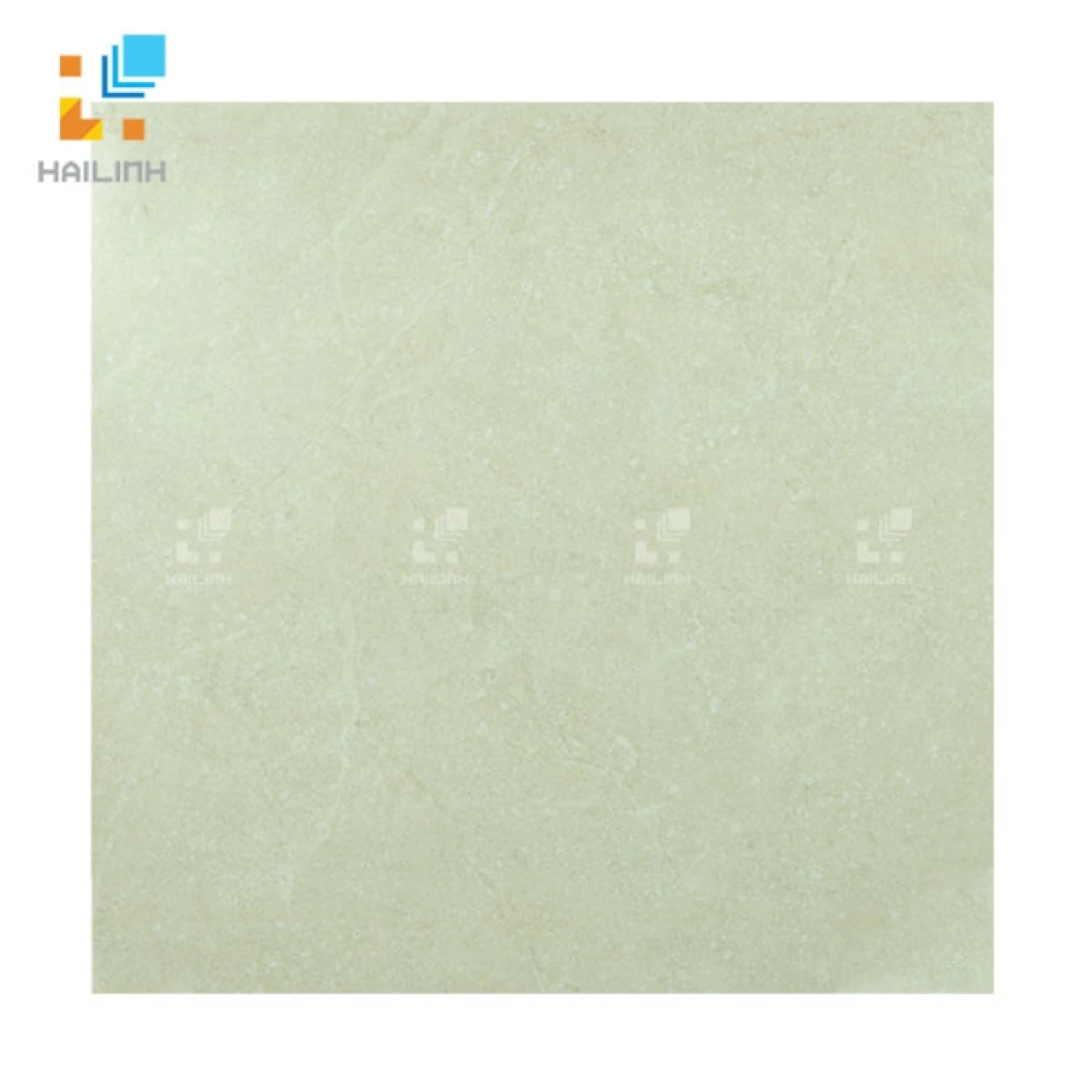 gach dong tam 8080NAPOLEON001-H+