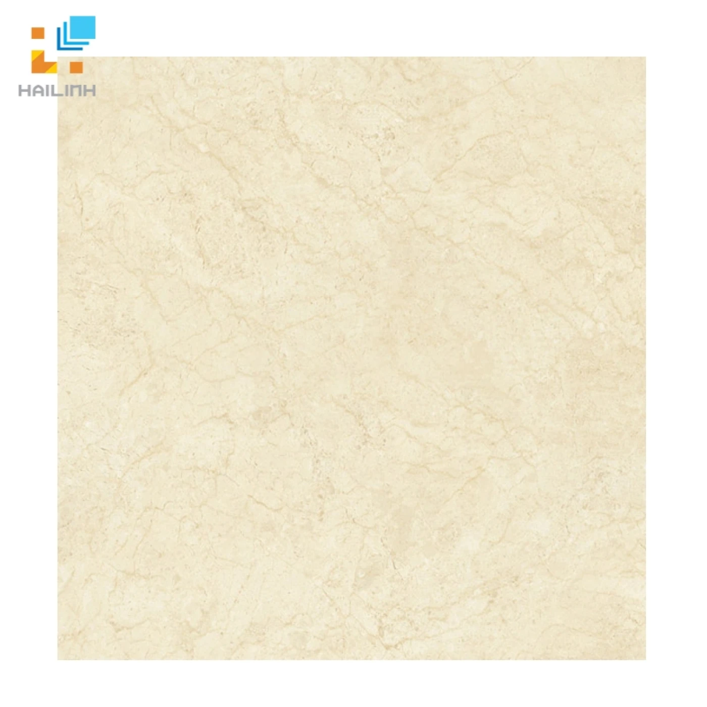 gach dong tam 8080NAPOLEON006