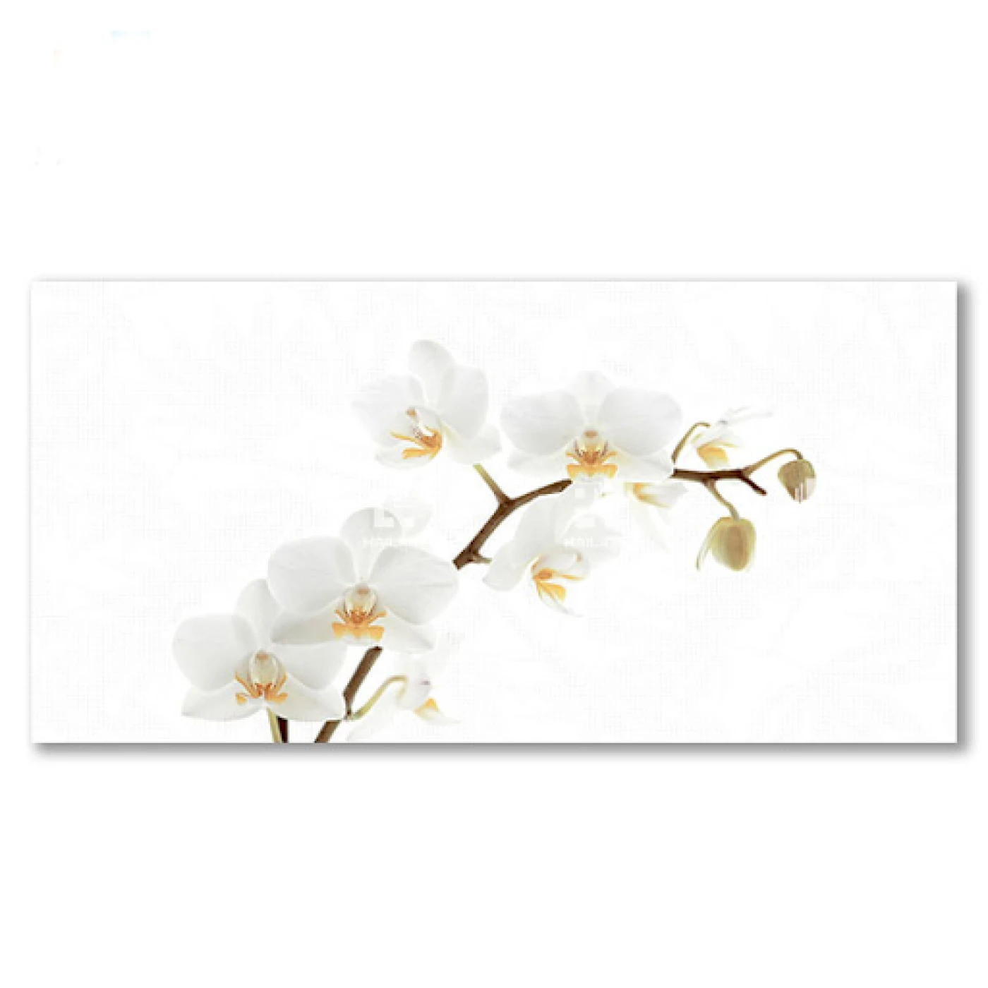gach dong tam D4080ORCHID001-H+