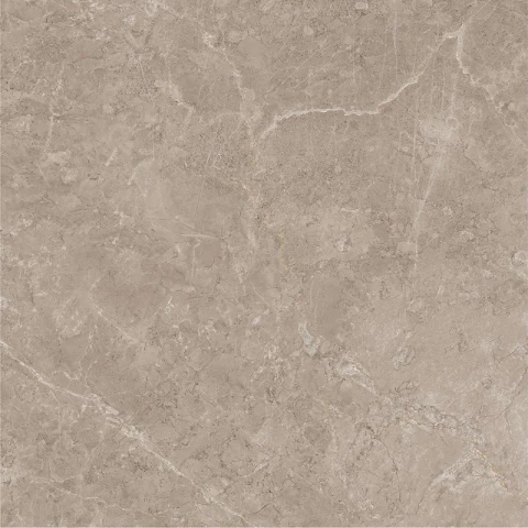 Ảnh Gạch Viglacera AZ9-GP8804 3