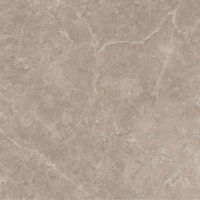 Ảnh Gạch Viglacera AZ9-GP8804 3