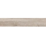 Gạch viglacera CA10-GK15901 2