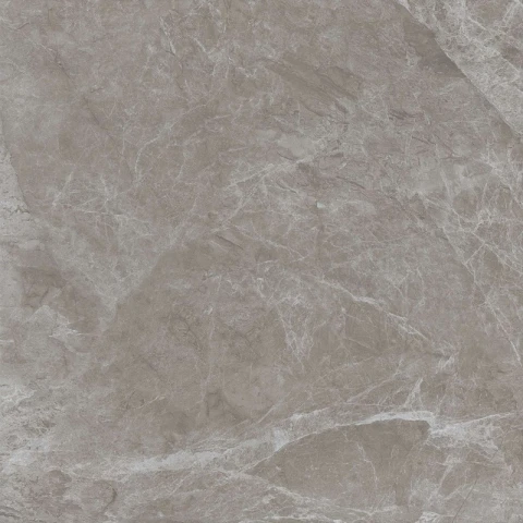 Ảnh Gạch Viglacera FL4-GP8803 1