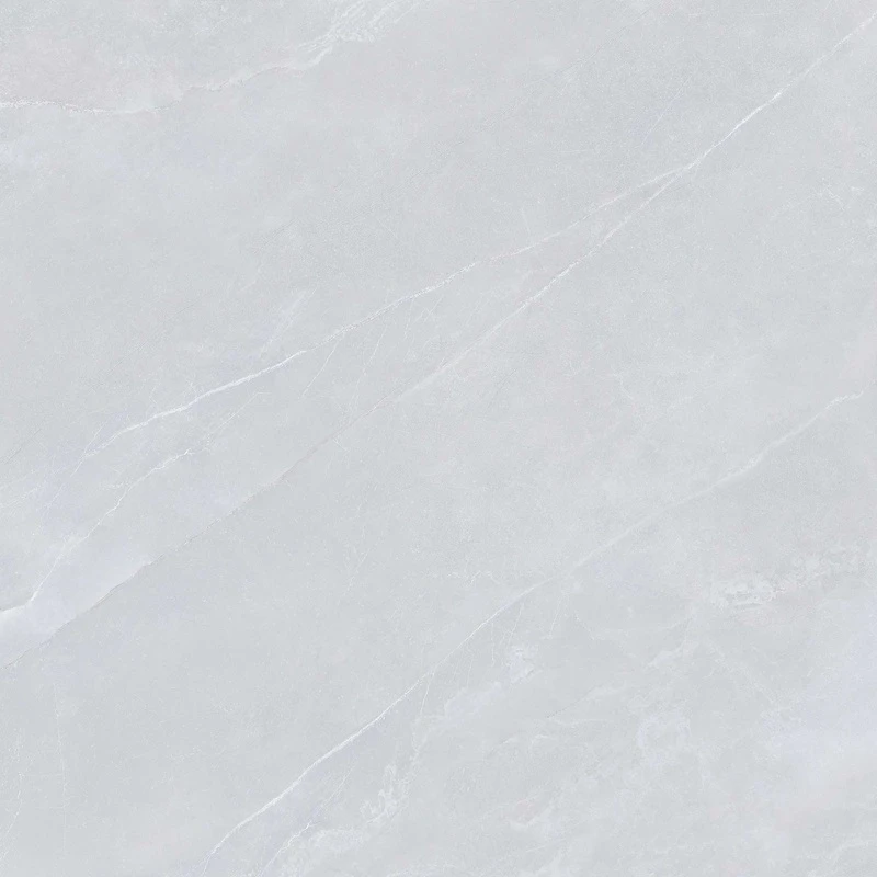 Ảnh Gạch Viglacera NY1-GP8801 4
