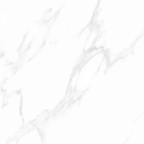 Ảnh Gạch Viglacera NY5-GP8801 4