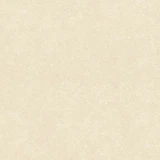 Gạch Đồng Tâm 6060VAMCOTAY004 3