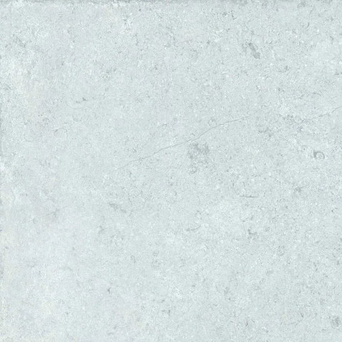 Ảnh Gạch Đồng Tâm 4040GECKO005 4