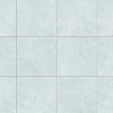 Gạch Đồng Tâm 4040GECKO005 1