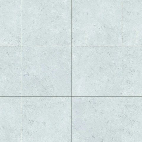 Gạch Đồng Tâm 4040GECKO005