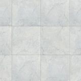 Gạch Đồng Tâm 4040GECKO007 1