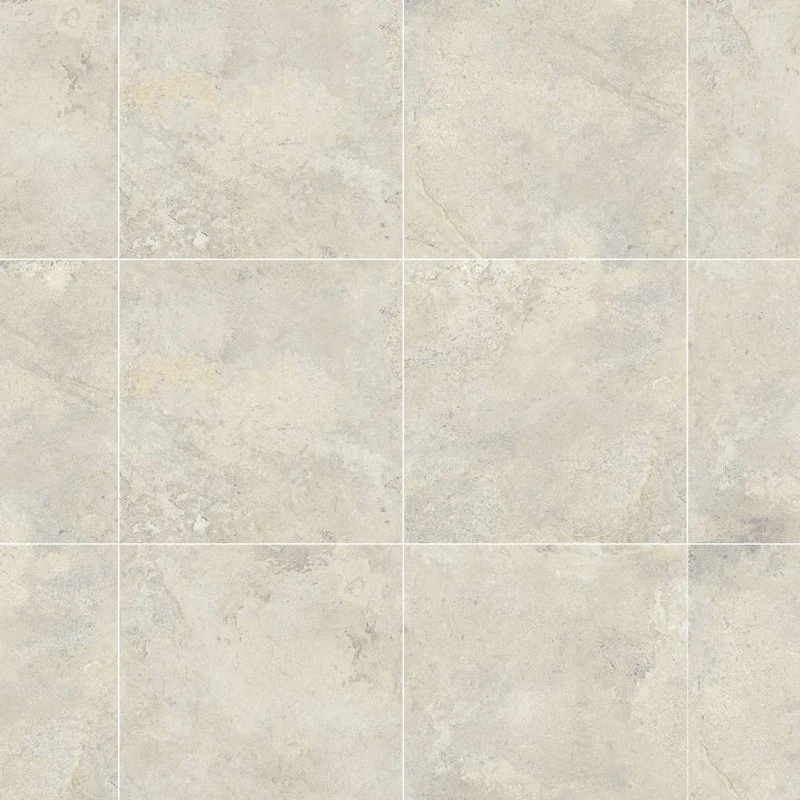 Gạch Đồng Tâm 4040GECKO008