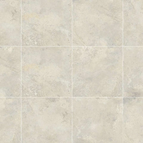 Gạch Đồng Tâm 4040GECKO008