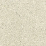 Gạch Đồng Tâm 4040LYSON005 3