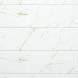 Gạch Đồng Tâm 4080GECKO002 1