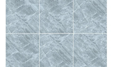 Ảnh Gạch Đồng Tâm 6060TRANGAN001-FP 6