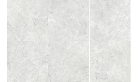 Ảnh Gạch Đồng Tâm 6060TRANGAN004-FP 6