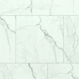 Gạch Đồng Tâm 6060TRANGAN005-FP 1
