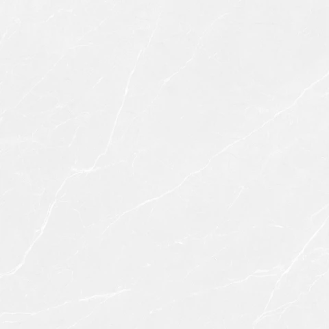 Ảnh Gạch Đồng Tâm 6060VAMCOTAY001 4
