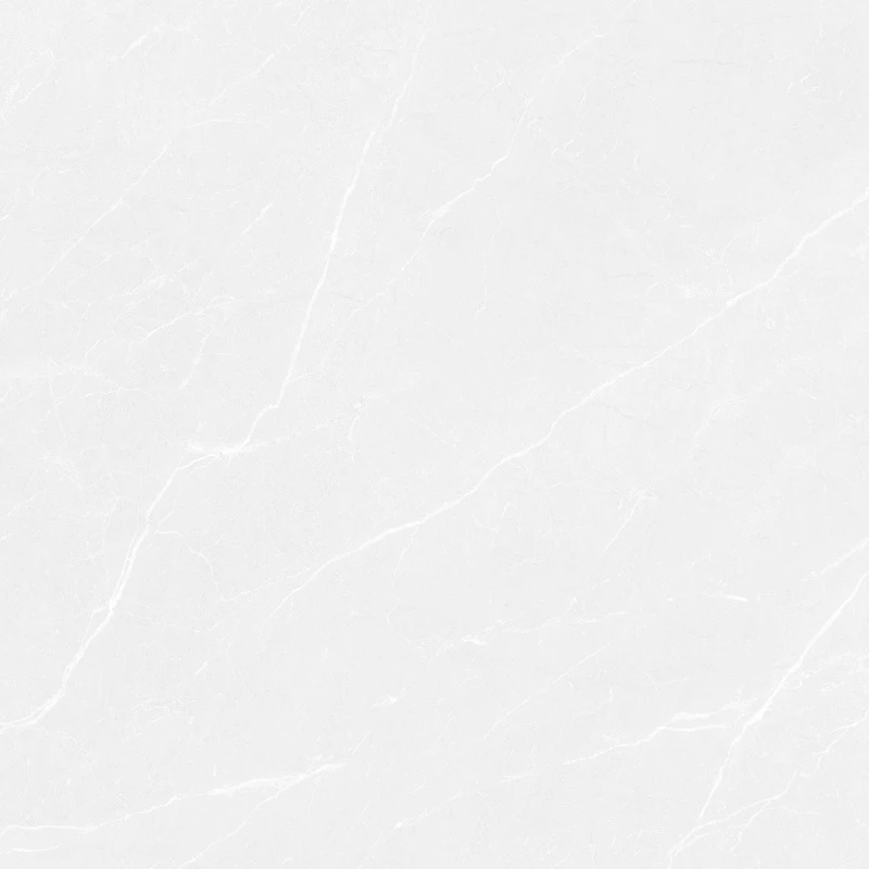 Ảnh Gạch Đồng Tâm 6060VAMCOTAY001 4
