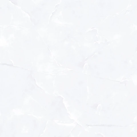 Ảnh Gạch Đồng Tâm 6060VAMCOTAY002 3
