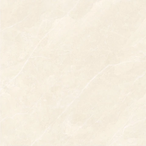Ảnh Gạch Đồng Tâm 6060VAMCOTAY005 3