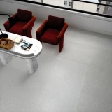 Gạch Đồng Tâm 8080ROME005-H+ 2