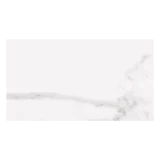 Gạch Viglacera PL36-ST01 1