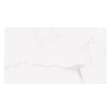 Gạch Viglacera PL36-ST01 4
