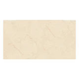 Gạch Viglacera PL36-ST03 4