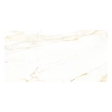Gạch Đồng Tâm 60120LANGBIANG001-FP-H+ 4