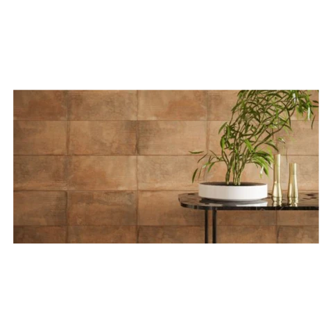 Ảnh Gạch Đồng Tâm 3060HOANGLIENSON001 3