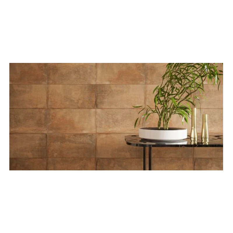 Ảnh Gạch Đồng Tâm 3060HOANGLIENSON001 3