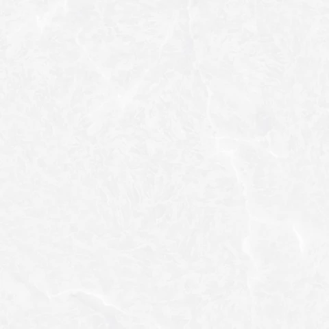 Ảnh Gạch Đồng Tâm 6060DONGVAN002 1