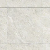 Gạch Đồng Tâm 8080DONGVAN008 2