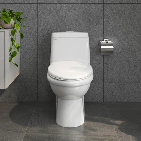 Ảnh Bồn cầu 1 khối Viglacera BL5 2
