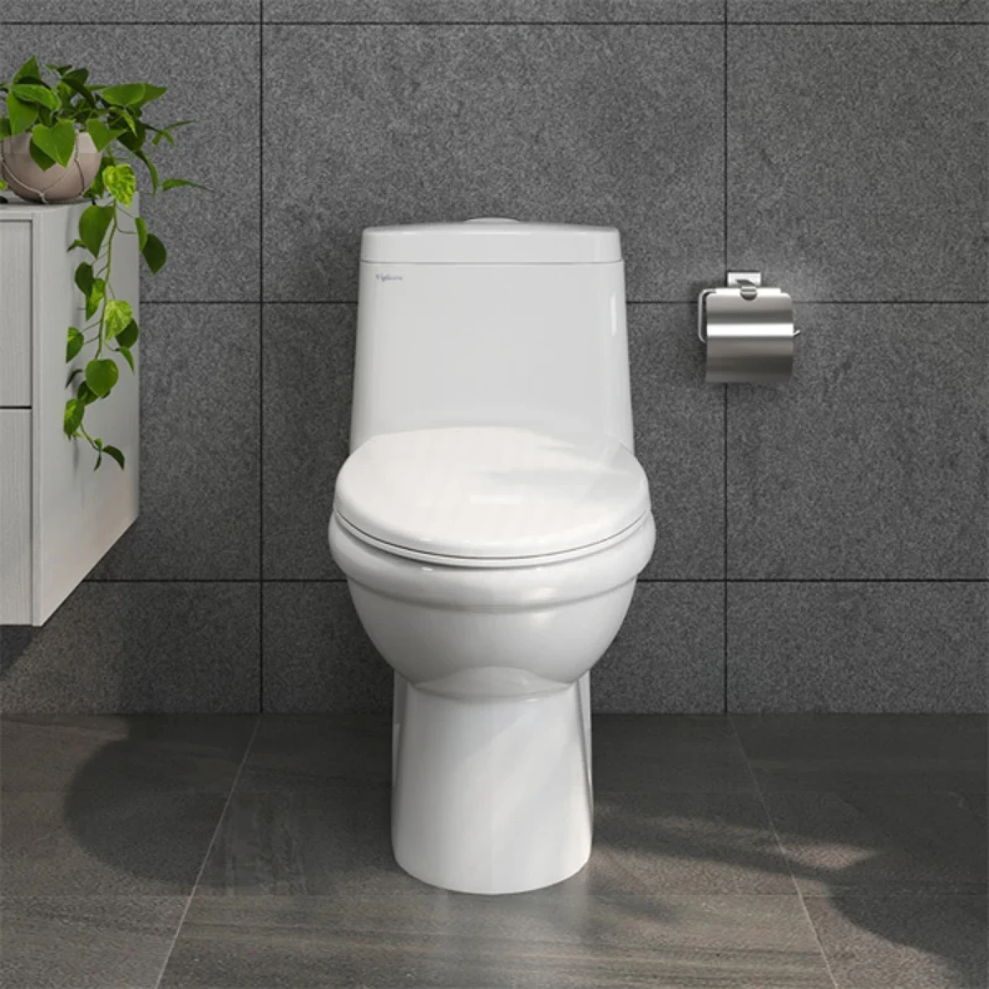 ban cau viglacera bl5v