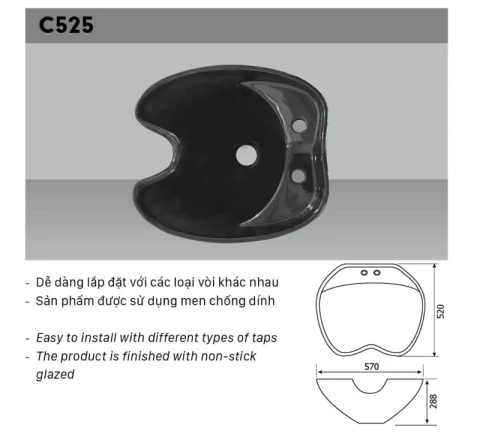 Ảnh Chậu gội đầu Hảo Cảnh C525 3