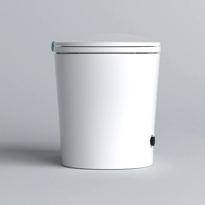 Ảnh Bồn cầu thông minh Belli HL939 14