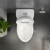 Bồn cầu 1 khối Viglacera BL5 4