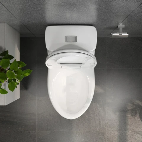 Ảnh Bồn cầu 1 khối Viglacera BL5 4
